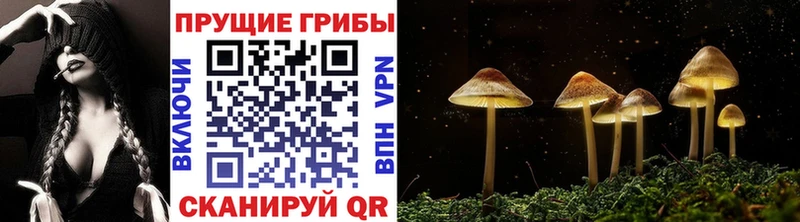 Галлюциногенные грибы Magic Shrooms  Слюдянка 
