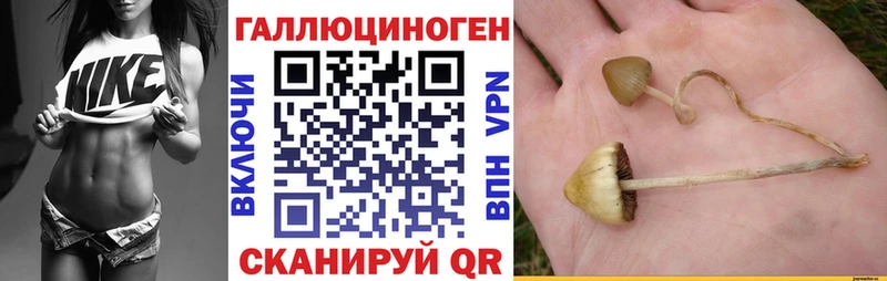 Псилоцибиновые грибы Magic Shrooms Слюдянка